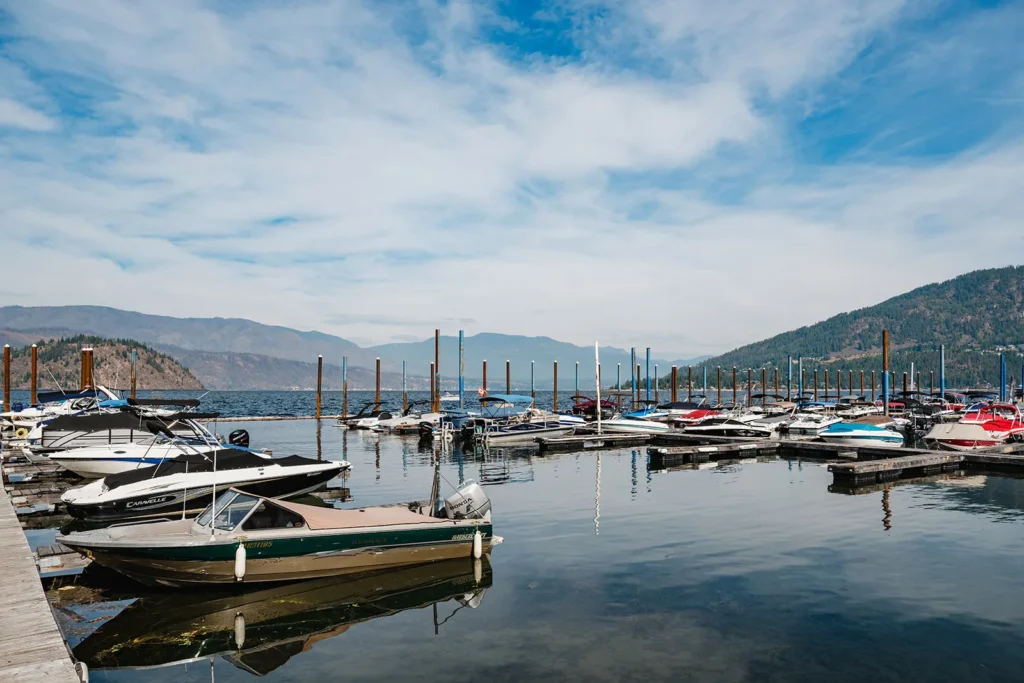 Boats docked at the marina