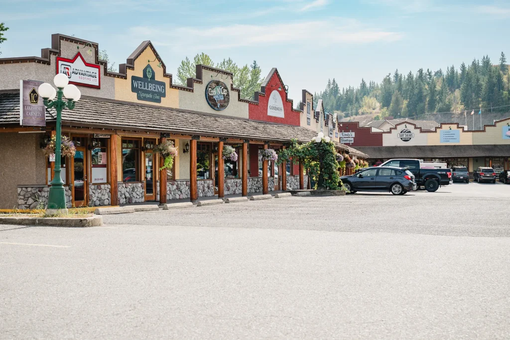 Village shops and local services